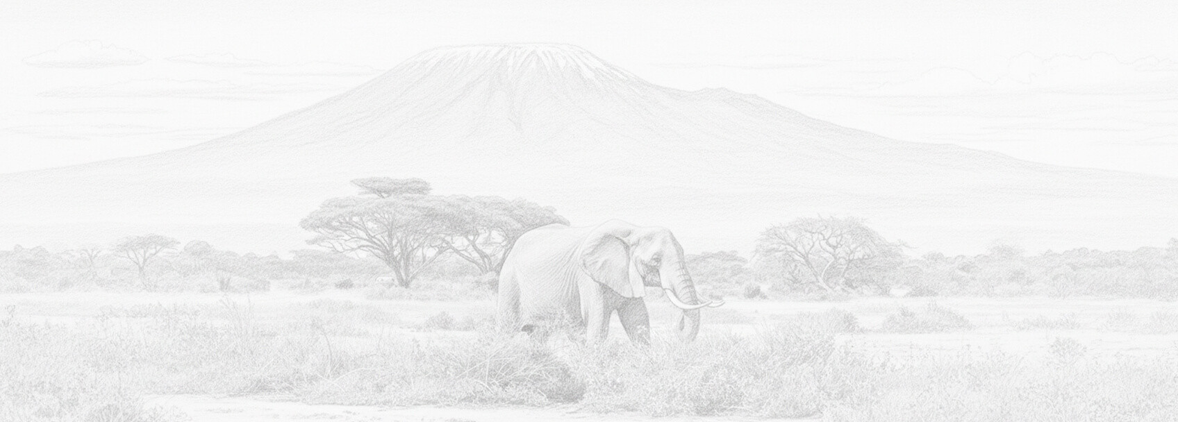 Permohonan visa Cameroon dan keperluannya