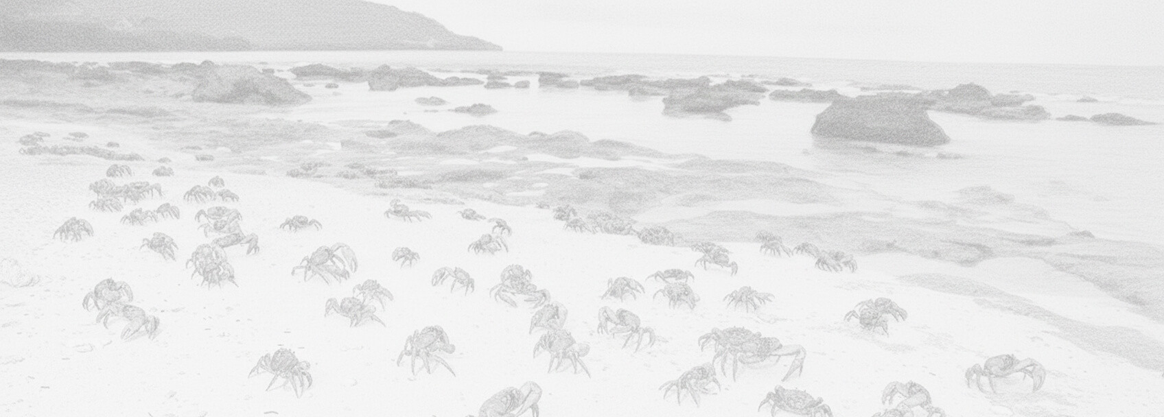 Permohonan visa Christmas Island dan keperluannya